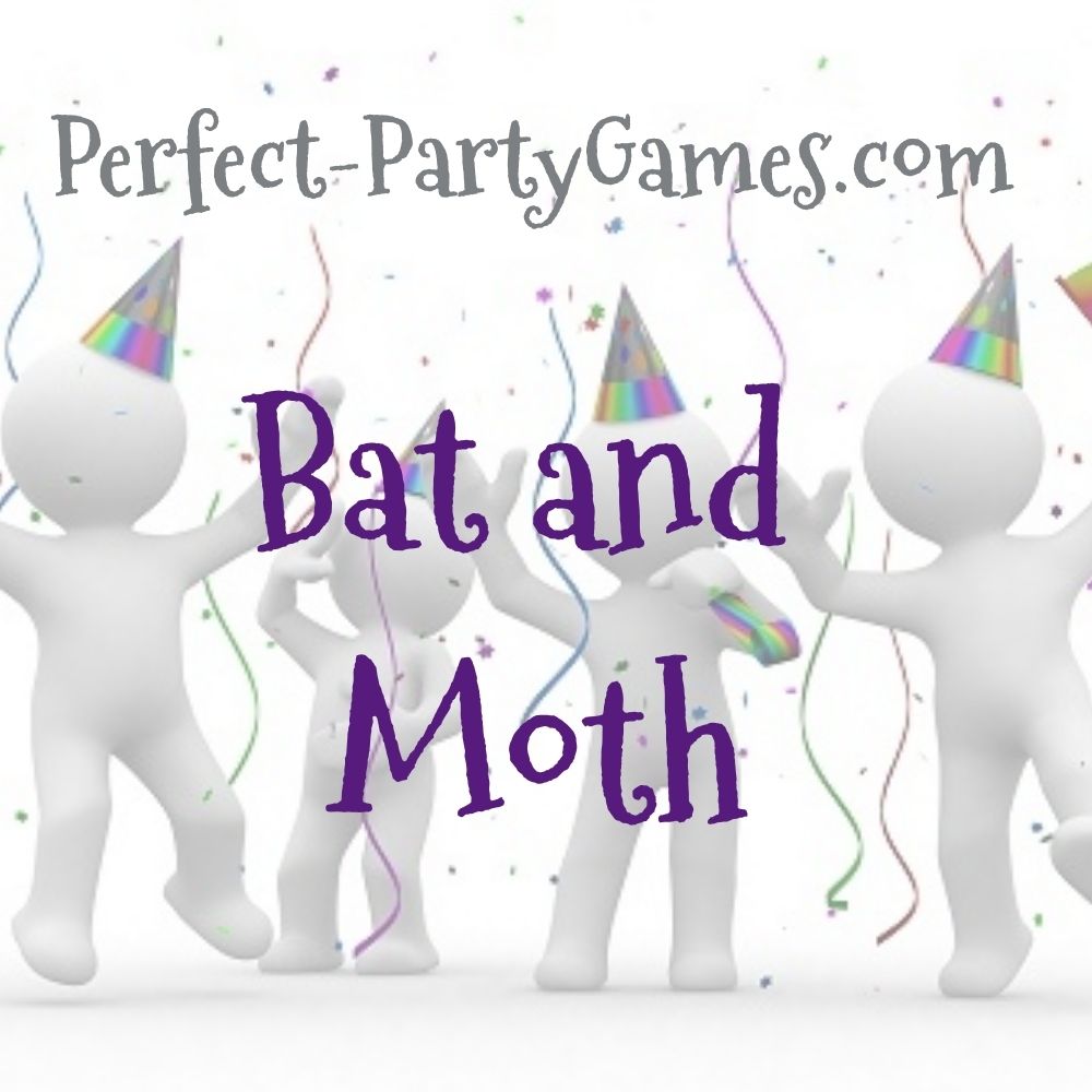 Bat and Moth