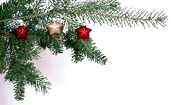 pine bough with 3 star ornaments